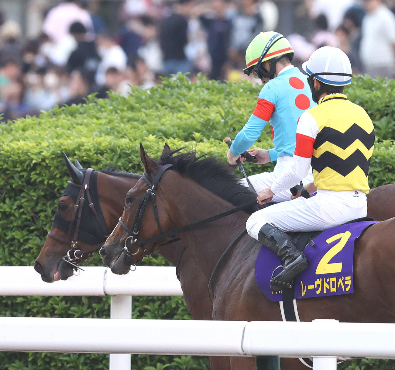 オークス1番人気で9着に敗れ引き揚げるエンブロイダリーとルメール騎手（奥）（撮影・丹羽敏通）