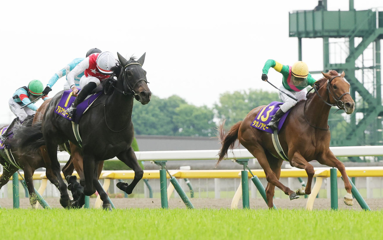 オークス3着に入ったタガノアビー（右）（撮影・野上伸悟）