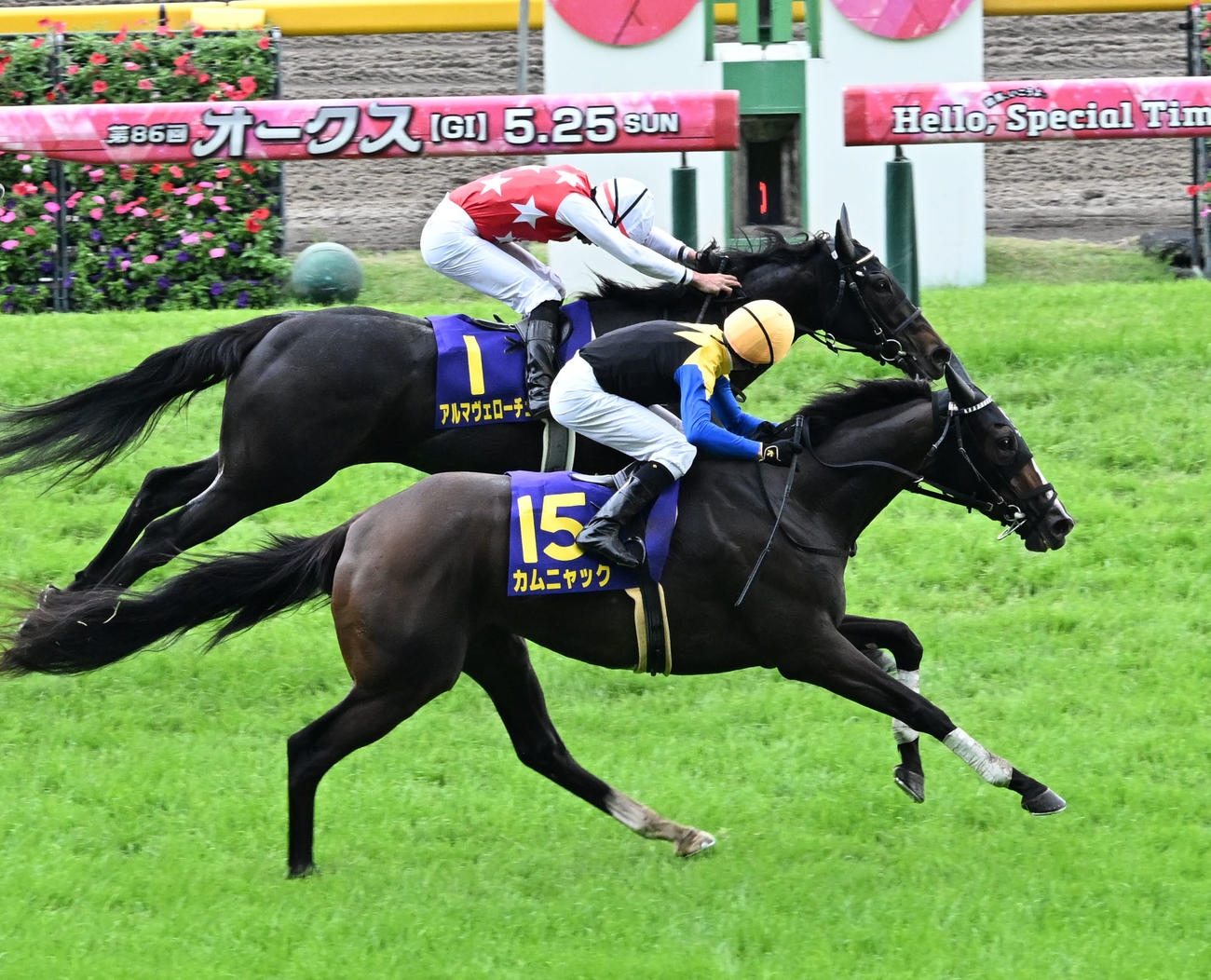 オークスを制したカムニャックとシュタルケ騎手（手前）（撮影・千葉一成）