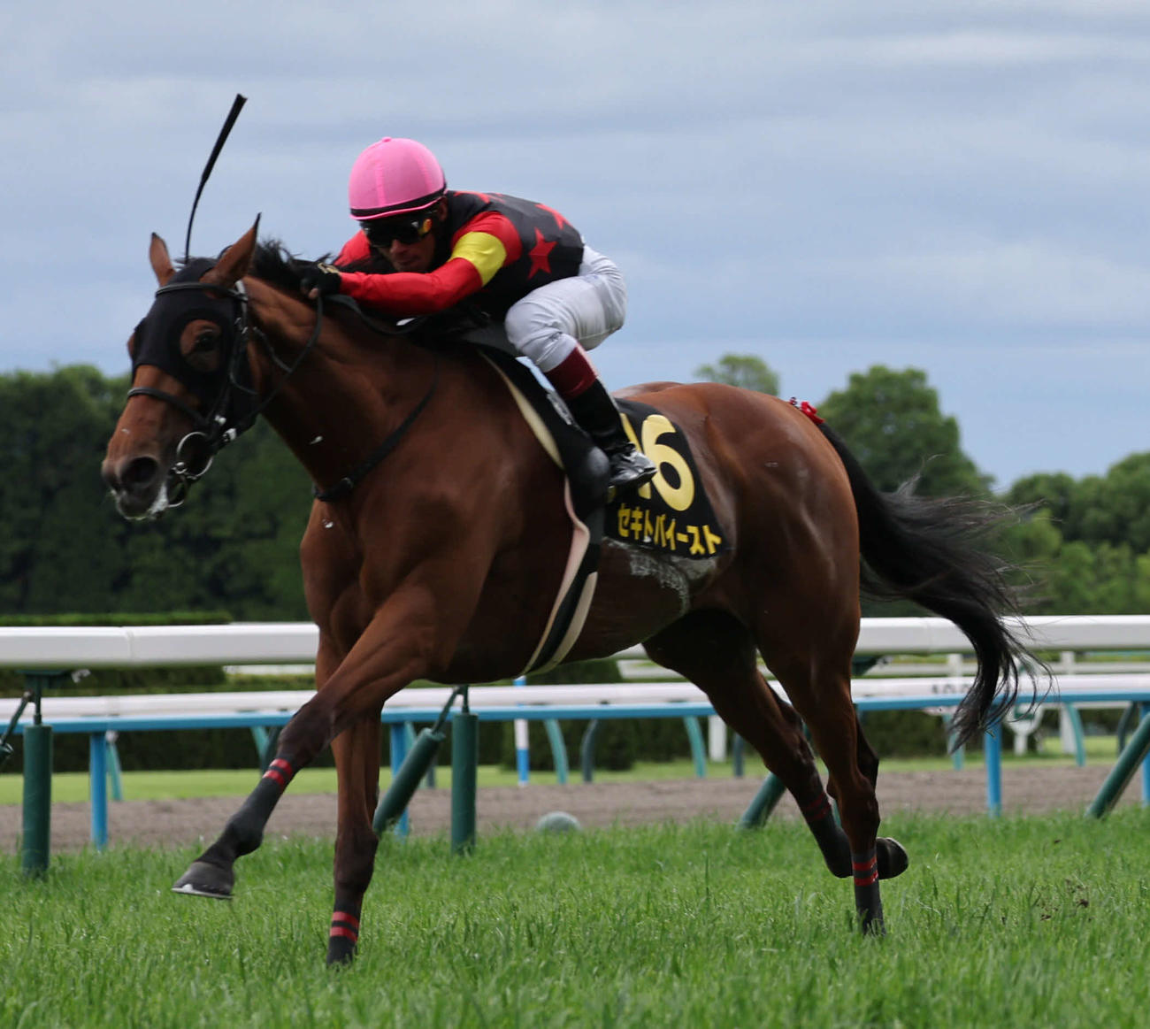 京都11R都大路Sは、浜中騎手のセキトバイーストが直線で抜け出して勝利した（撮影・西尾就之）