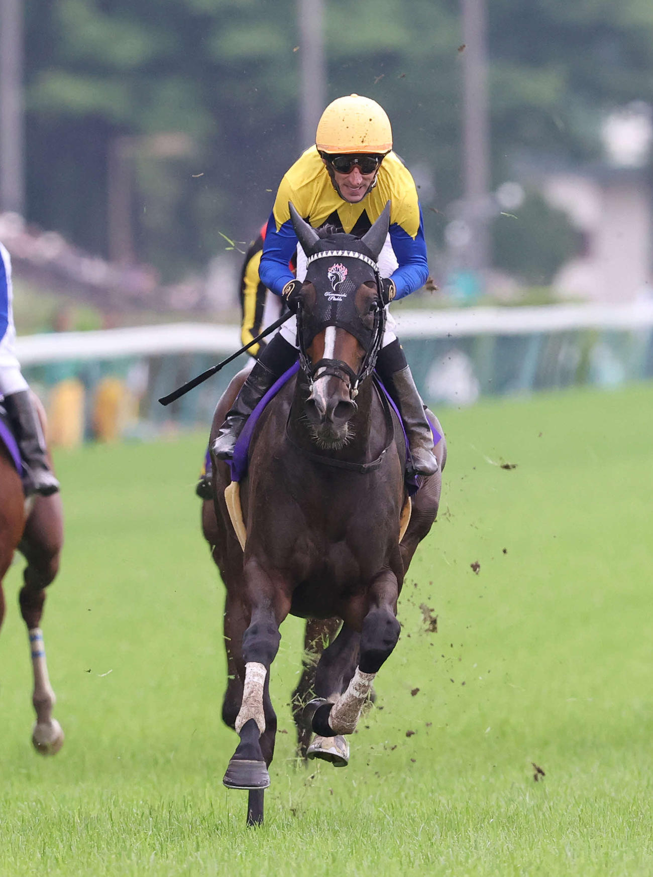 東京11R、外から伸びてオークスを制したカムニャックとシュタルケ騎手（撮影・丹羽敏通）