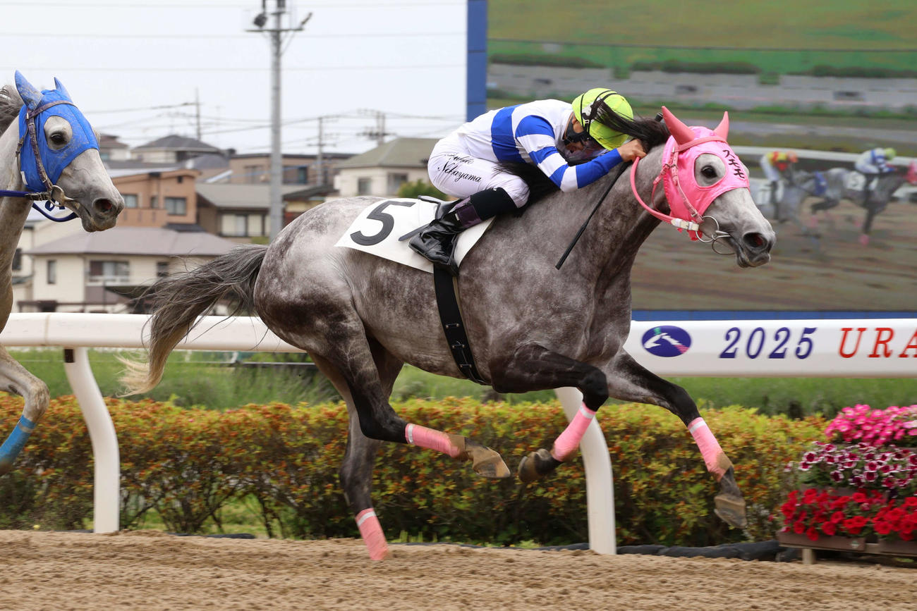 スモモモモモモモモが3コーナーで抜け出し騎乗した浦和の中山遥人騎手は初勝利
