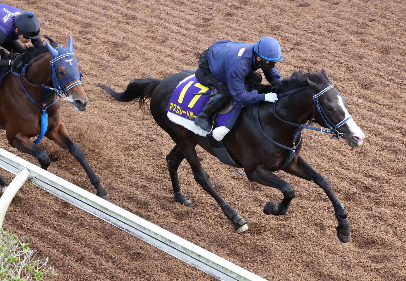 マスカレードボール（右）は嶋田騎手を背に美浦坂路でレッドベルダンスと併せて追い切られた