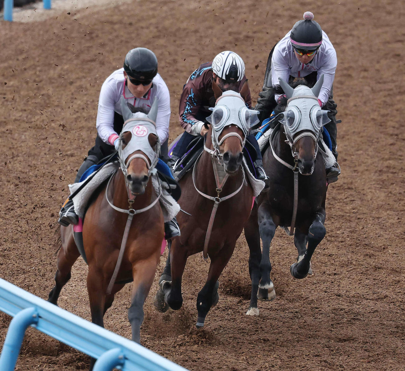 3戦無敗のファンダム（中央）は北村宏騎手を背に美浦ウッドを3頭併せで追い切られた（撮影・丹羽敏通）