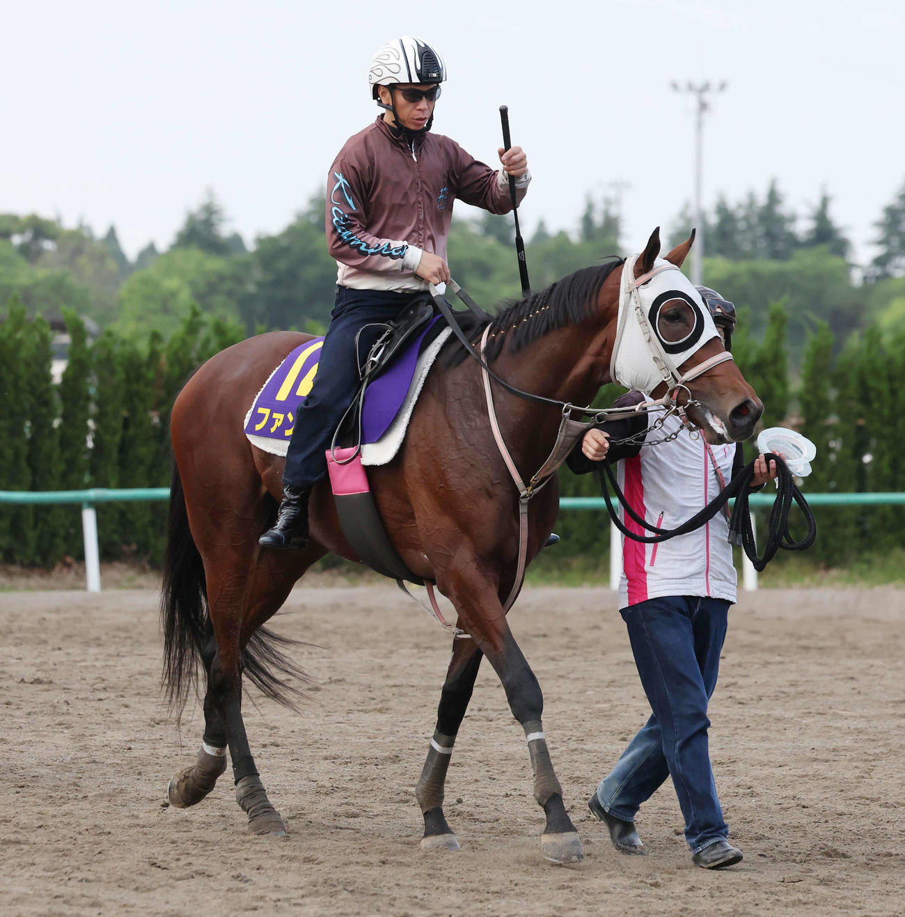 最終追い切りを終えて馬場を出るファンダムと北村宏騎手（撮影・丹羽敏通）