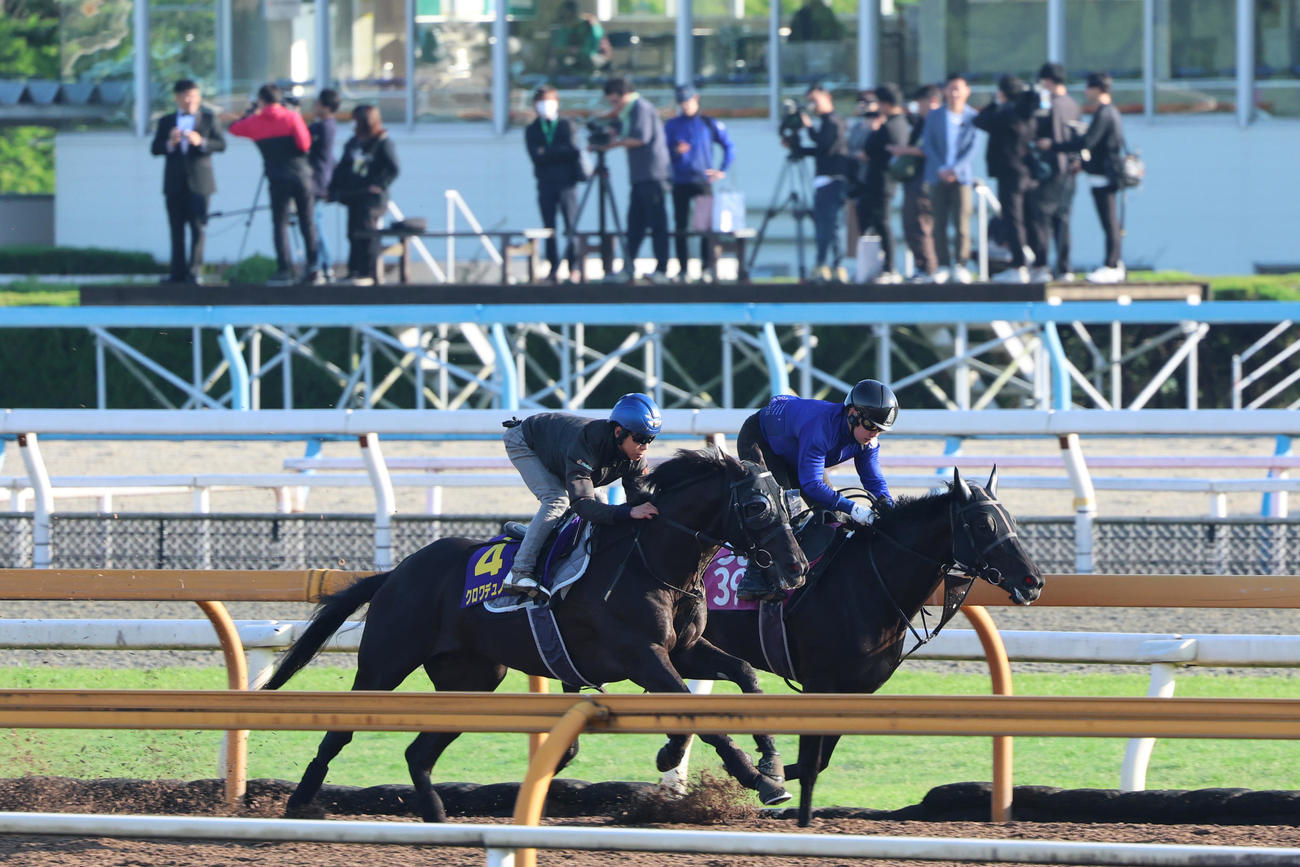 CWコースでホーリーブラッサム（右）と併せて追い切られたクロワデュノール