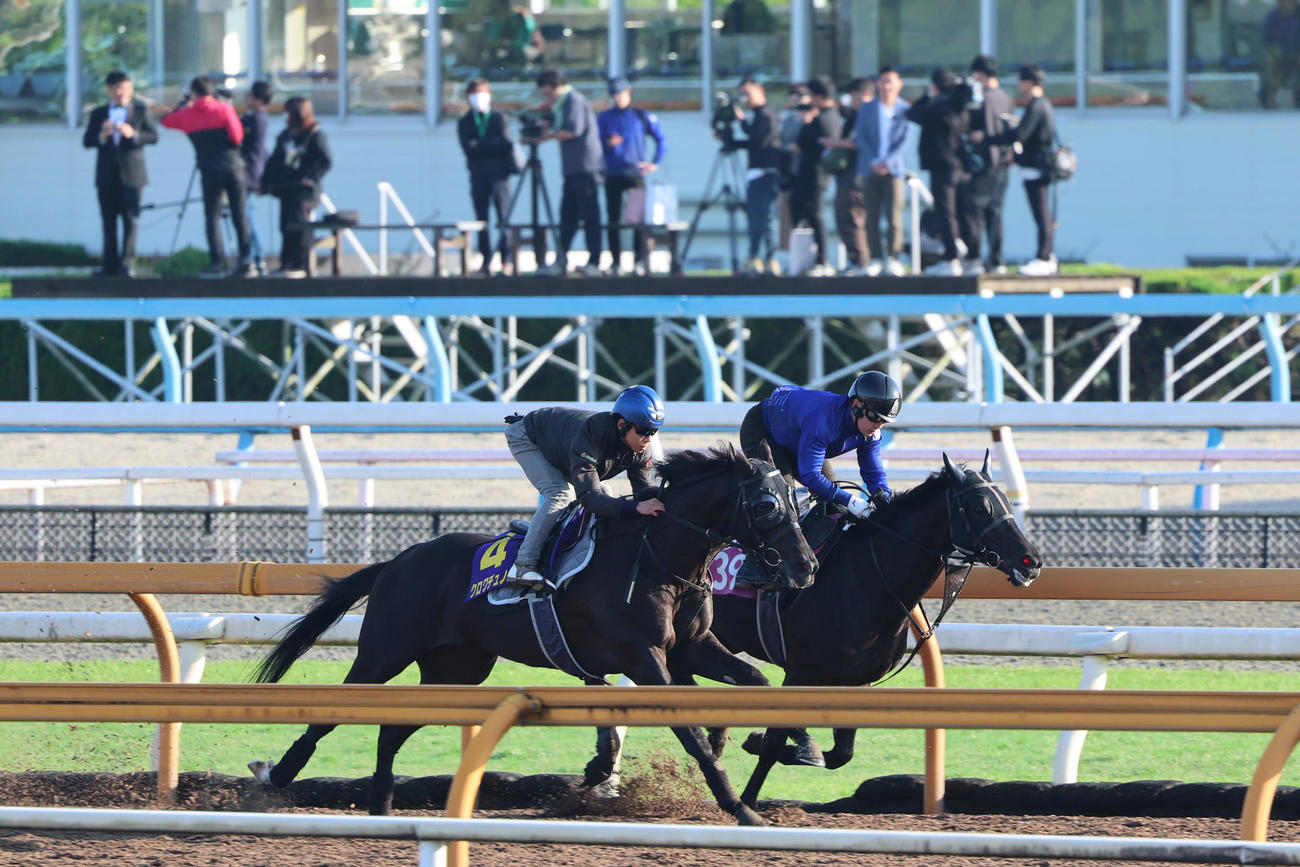 CWコースでホーリーブラッサム（右）と併せて追い切られたクロワデュノール