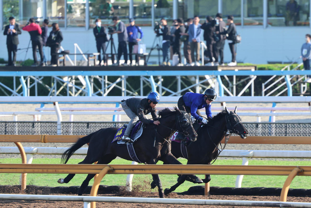 CWコースでホーリーブラッサム（右）と併せて追い切られたクロワデュノール