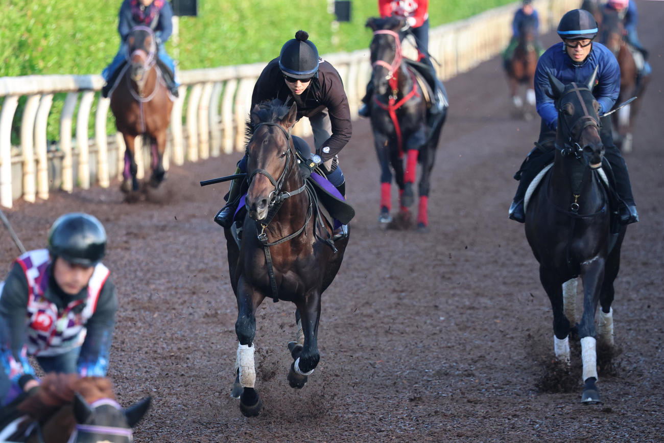 坂路で併せ馬に先着したミュージアムマイル（中央）