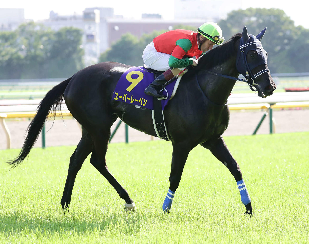ユーバーレーベンの首筋に顔を埋めるM・デムーロ騎手（2021年5月23日撮影）