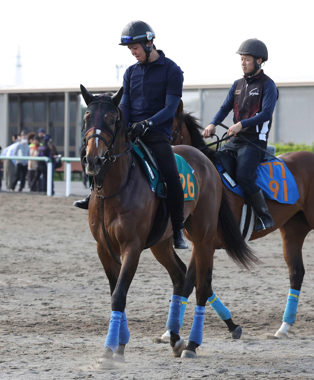 追い切りを終えて馬場を出る奥村厩舎のテンユウ（撮影・丹羽敏通）