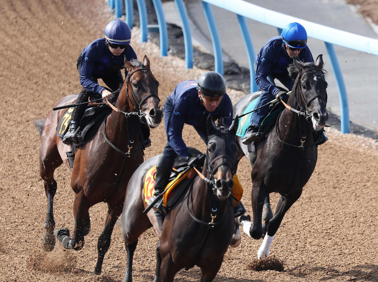 ゾロアストロ（右）はルメール騎手を背に美浦ウッドを併せ馬で追い切られた（撮影・丹羽敏通）