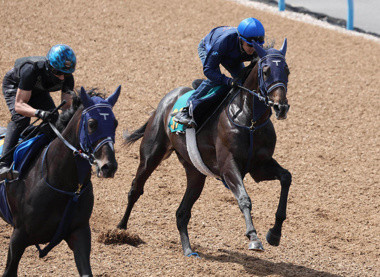 アウダーシア（右）はルメール騎手を背に美浦ウッドでジオセントリックと併せて追い切られた（撮影・丹羽敏通）