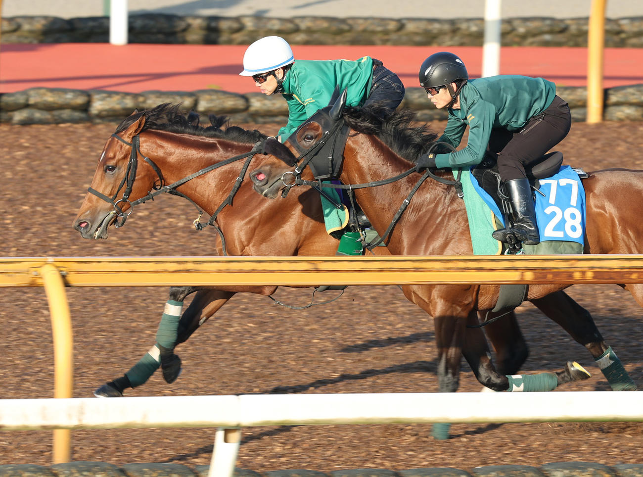 CWコースを併せ馬で追い切るベラジオオペラ（左）