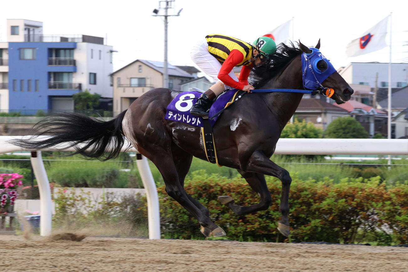 4コーナーで先頭に立ちプラチナCを制したティントレットと矢野騎手