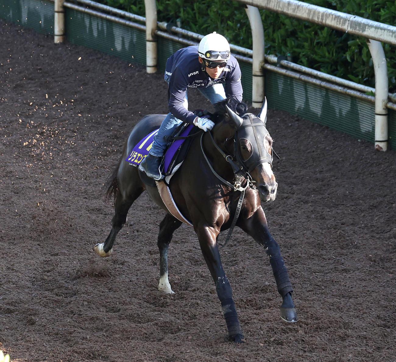 浜中騎手を背に坂路を単走で追い切るリラエンブレム（撮影・白石智彦）