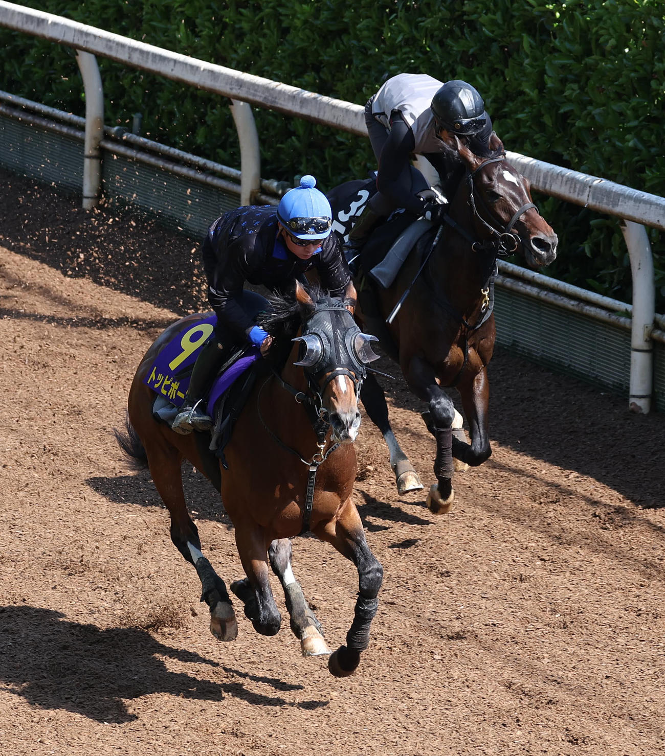 岩田望騎手を背に坂路をメイショウカジボウ（右）と併せ馬で追い切るトッピボーン（撮影・白石智彦）