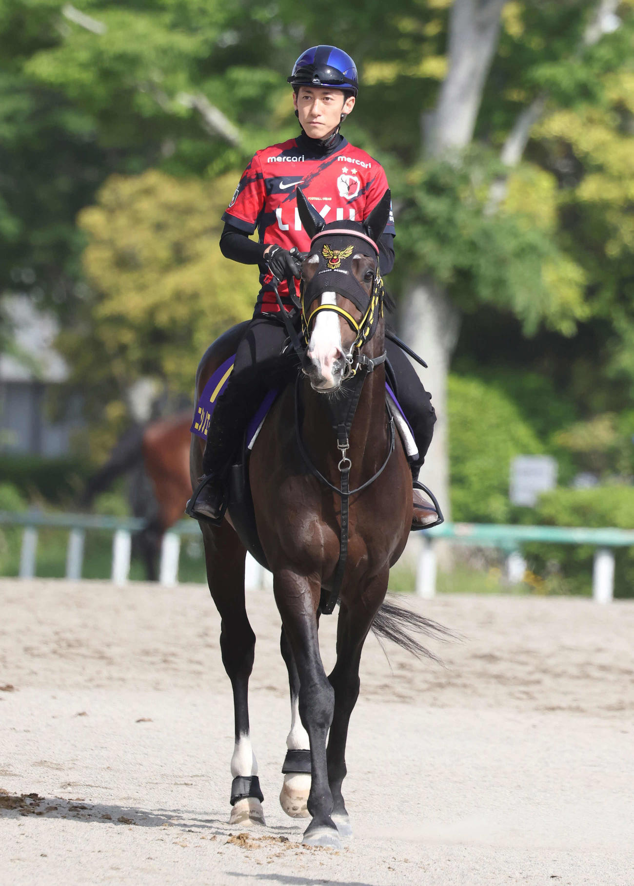 ニシノエージェントと津村騎手（2025年5月28日撮影）