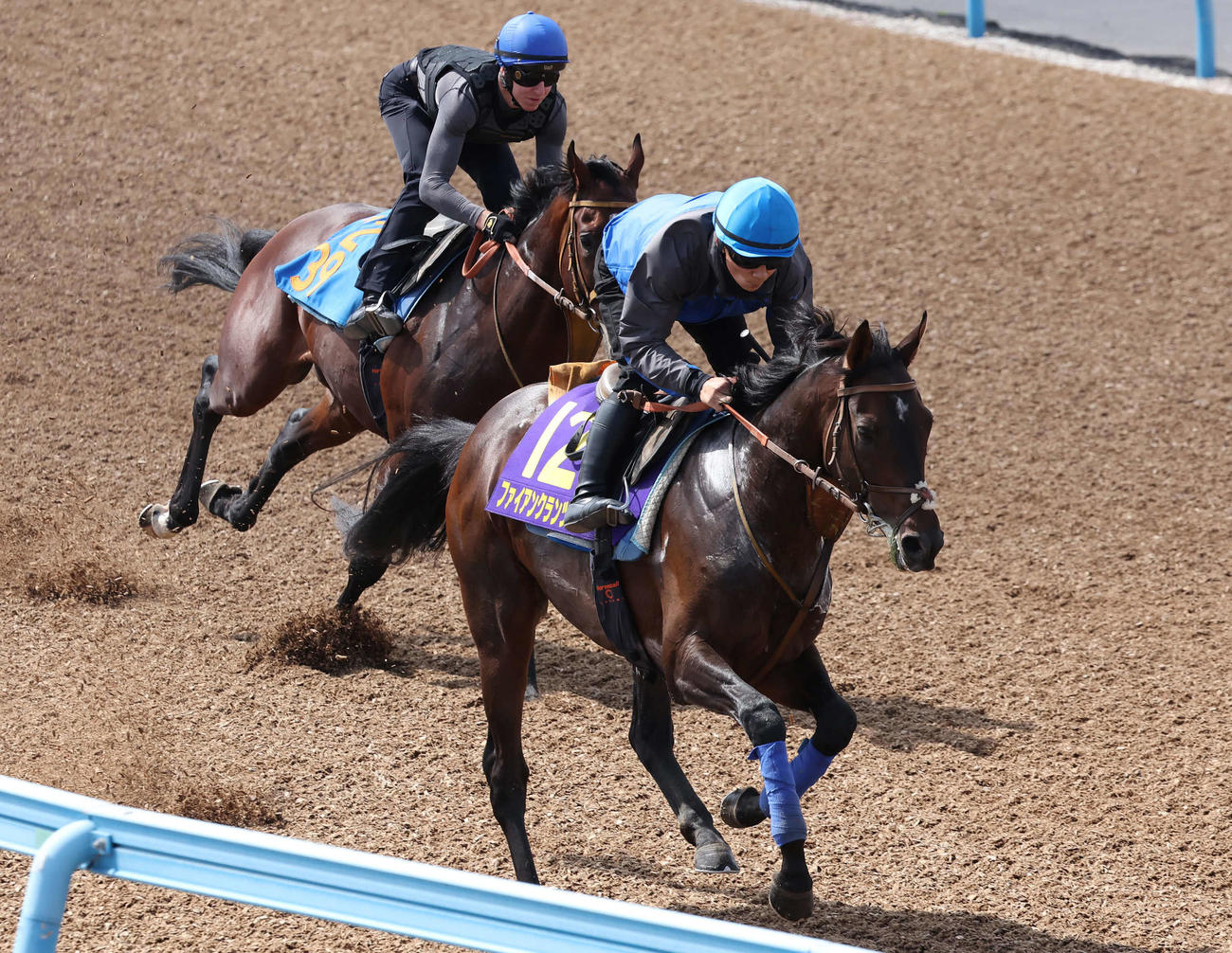 28日、佐々木騎手を背に追い切ったファイアンクランツ（手前）