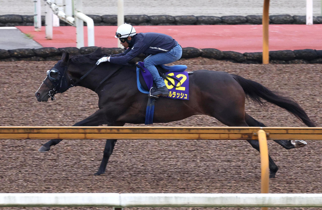 浜中騎手を背にCウッドをスペクトログラムと併せ馬で追い切るソウルラッシュ（撮影・白石智彦）