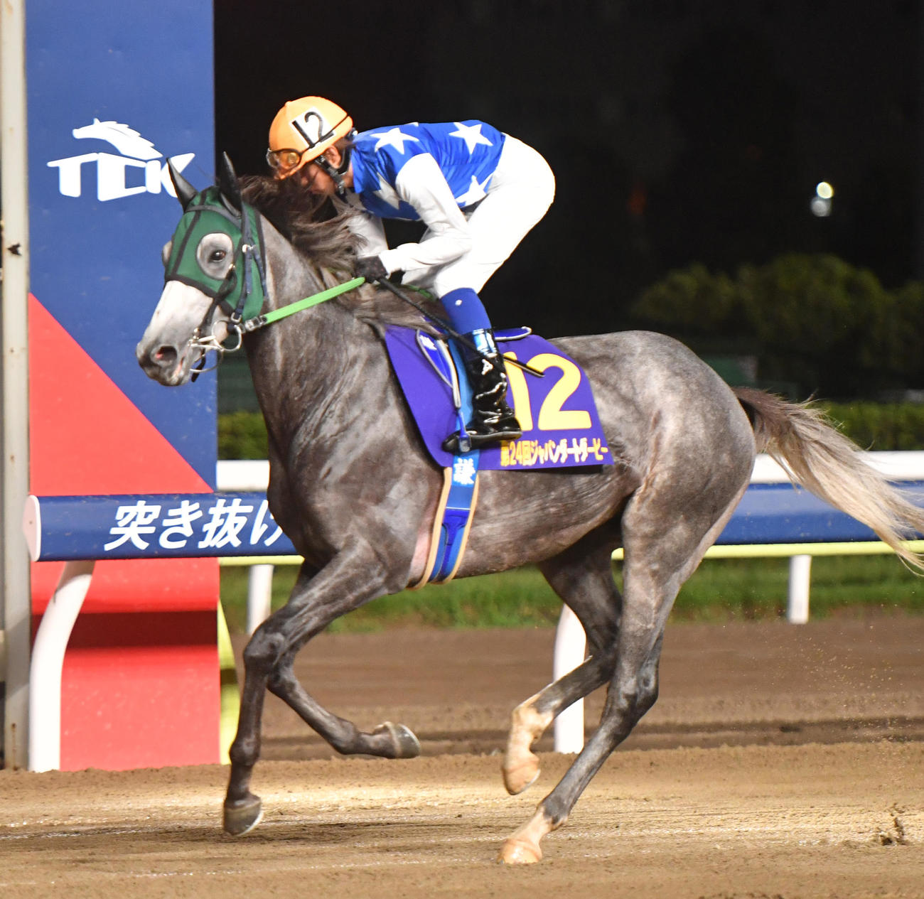 ジャパンダートダービー、本馬場に入場したガルボマンボ（2022年7月13日撮影）