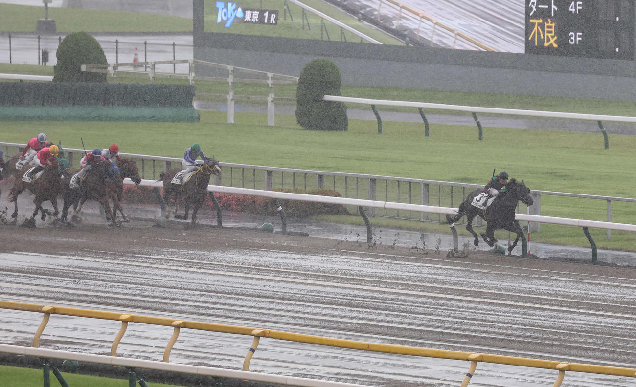 東京1R、3歳未勝利戦を制したシュガーハイと小林美騎手（右）（撮影・丹羽敏通）