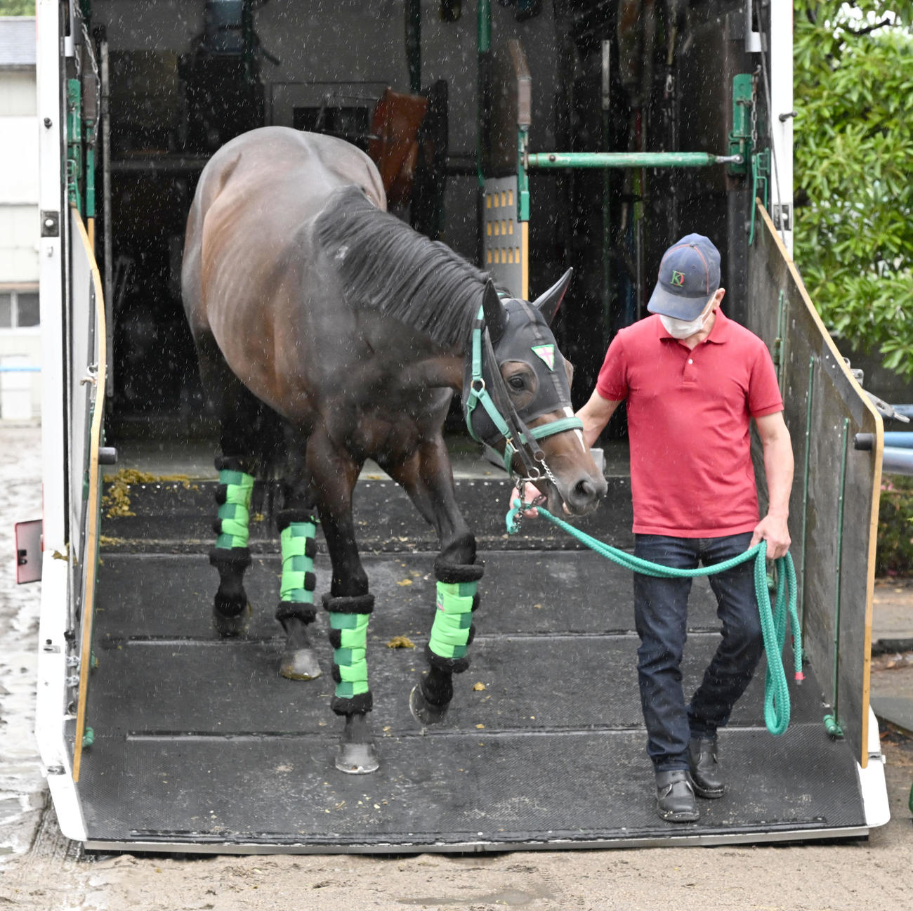 東京競馬場に到着したサトノシャイニング（撮影・千葉一成）