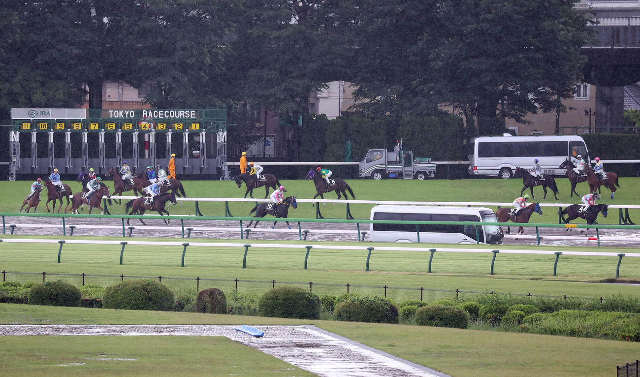 東京9Rの富嶽賞が取りやめとなって、引き揚げる出走予定馬（撮影・丹羽敏通）