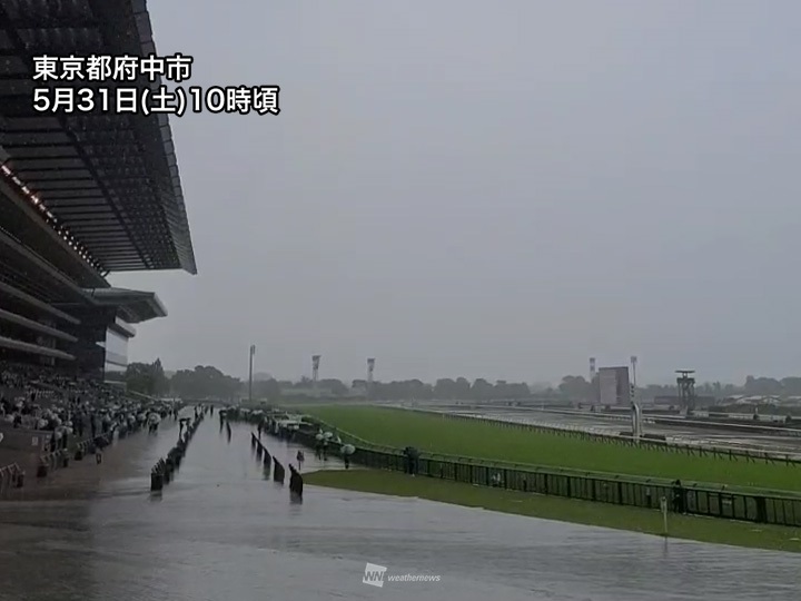 東京競馬場の場内で撮られたものと見られる写真（ウェザーニュース社のXから）