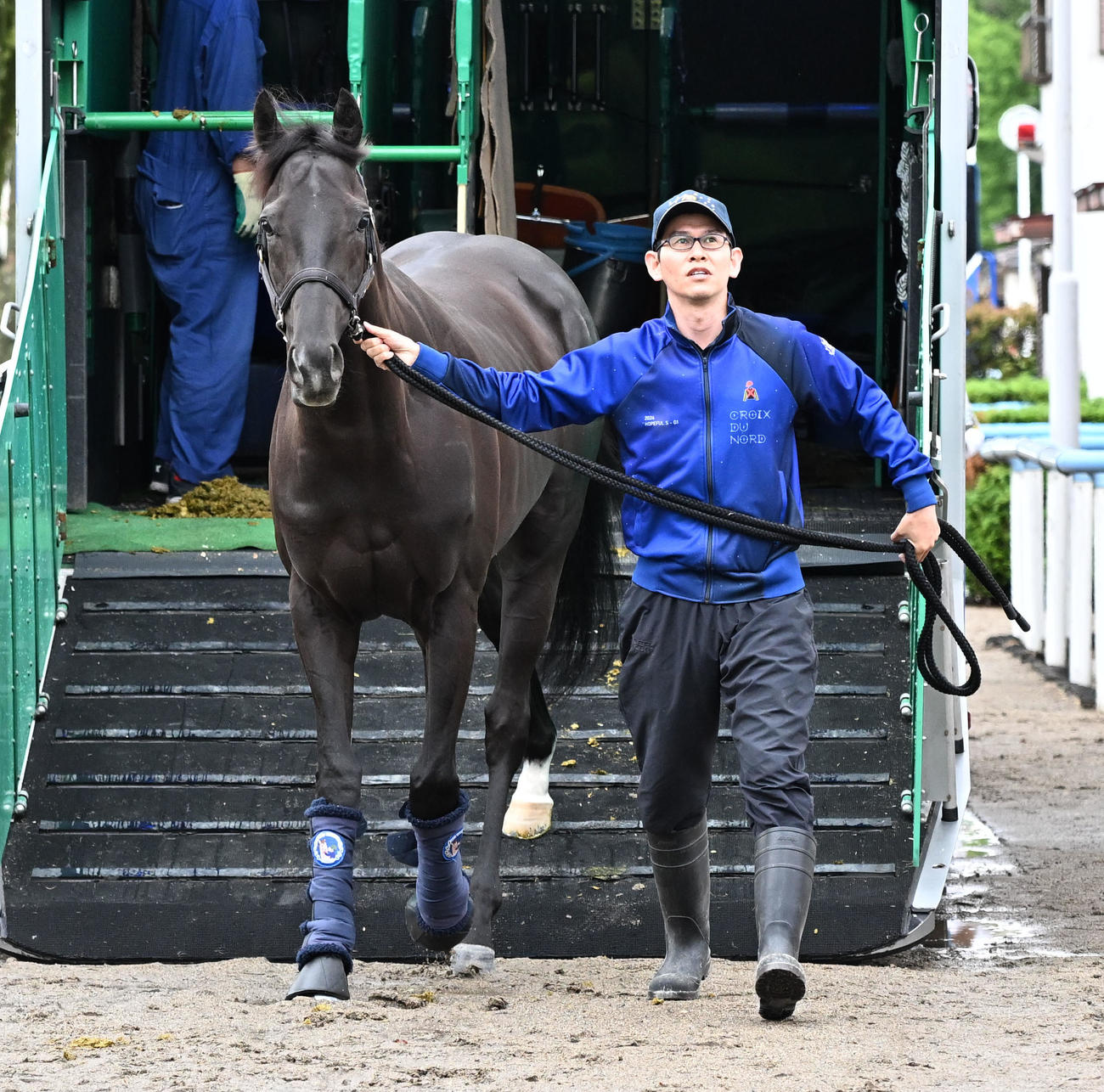 東京競馬場に到着したクロワデュノール（撮影・千葉一成）