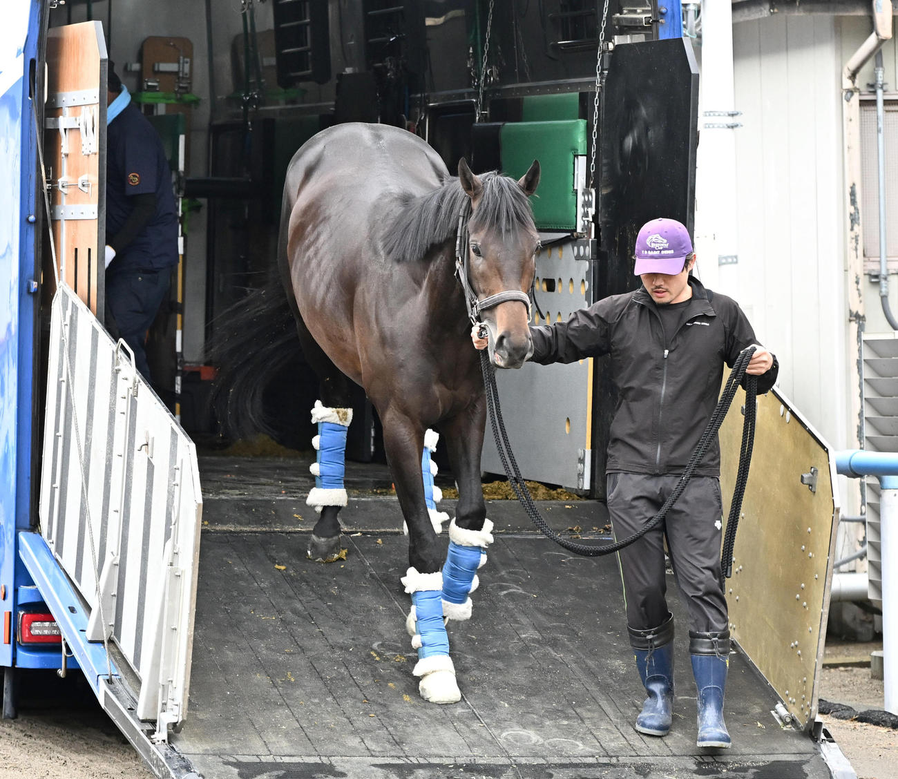 東京競馬場に到着したミュージアムマイル（撮影・千葉一成）