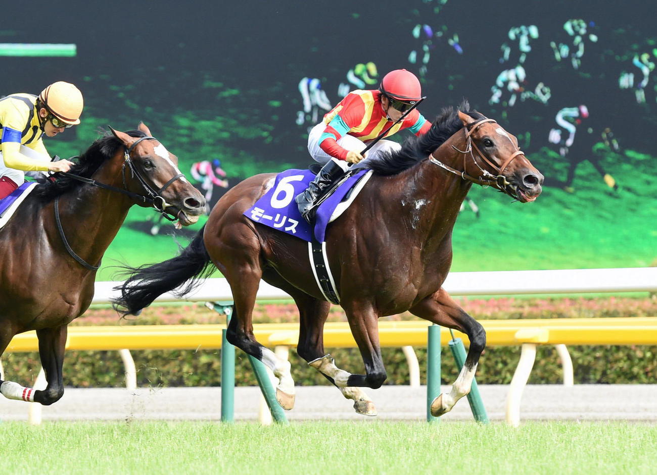 競馬キャップ 伝説の名馬「モーリス（Maurice）」の限定デザイン