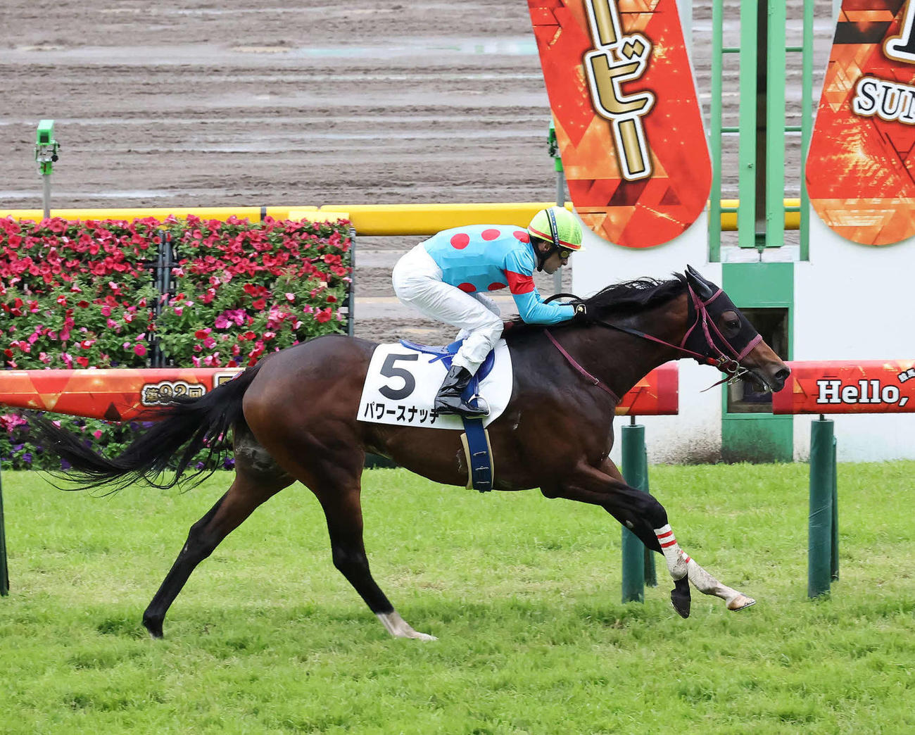 東京7R、3歳1勝クラスを逃げ切ったパワースナッチとルメール騎手（撮影・丹羽敏通）