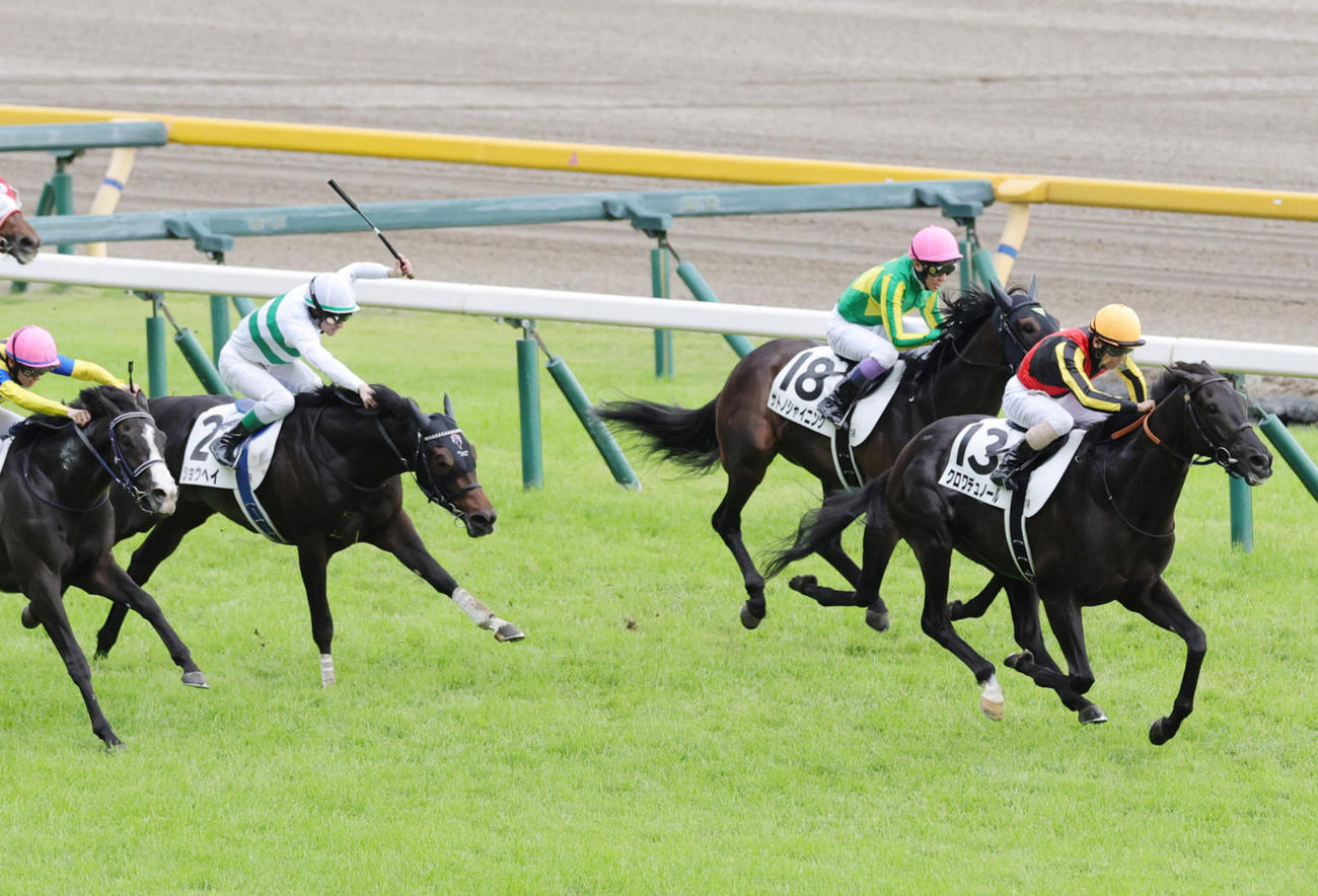 ダービー3着に入ったショウヘイ（左）。右は勝ったクロワデュノール（撮影・野上伸悟）