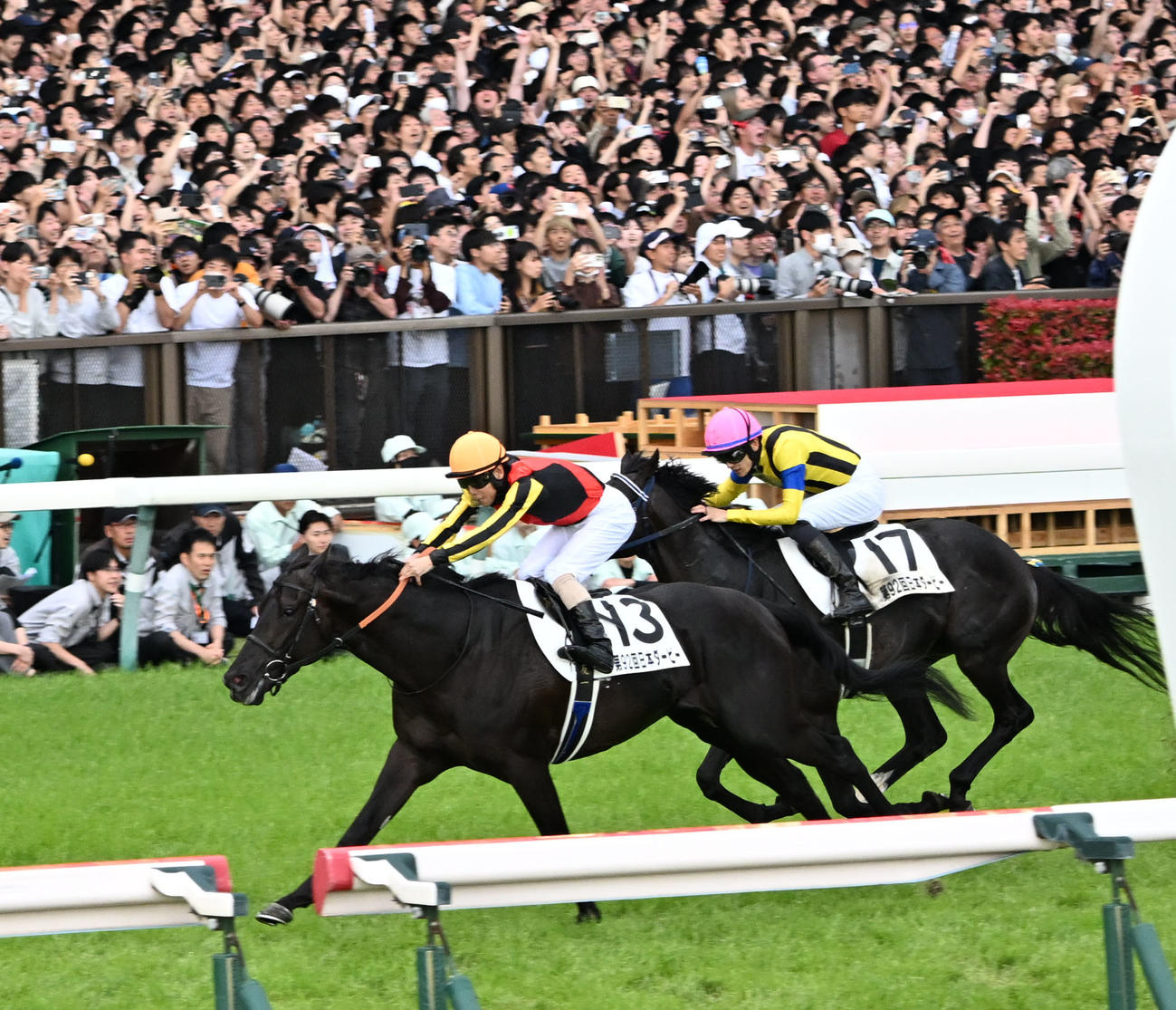 日本ダービーを制したクロワデュノールと北村友騎手。右は2着のマスカレードボール（撮影・千葉一成）　