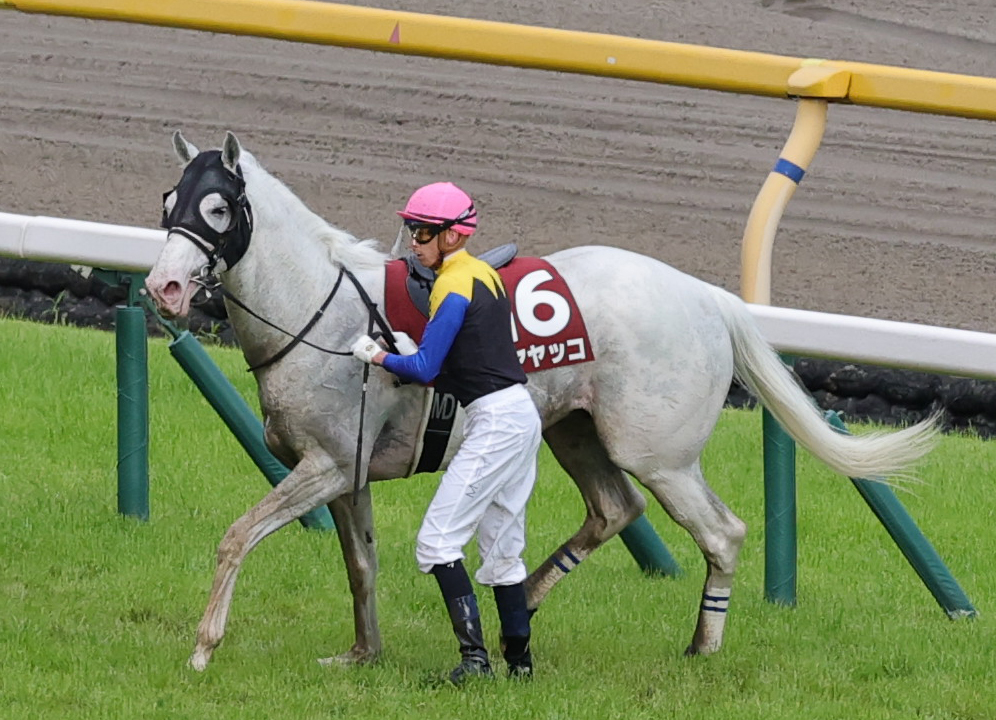 東京12R目黒記念で競走中止となったハヤヤッコとディー騎手（撮影・野上伸悟）