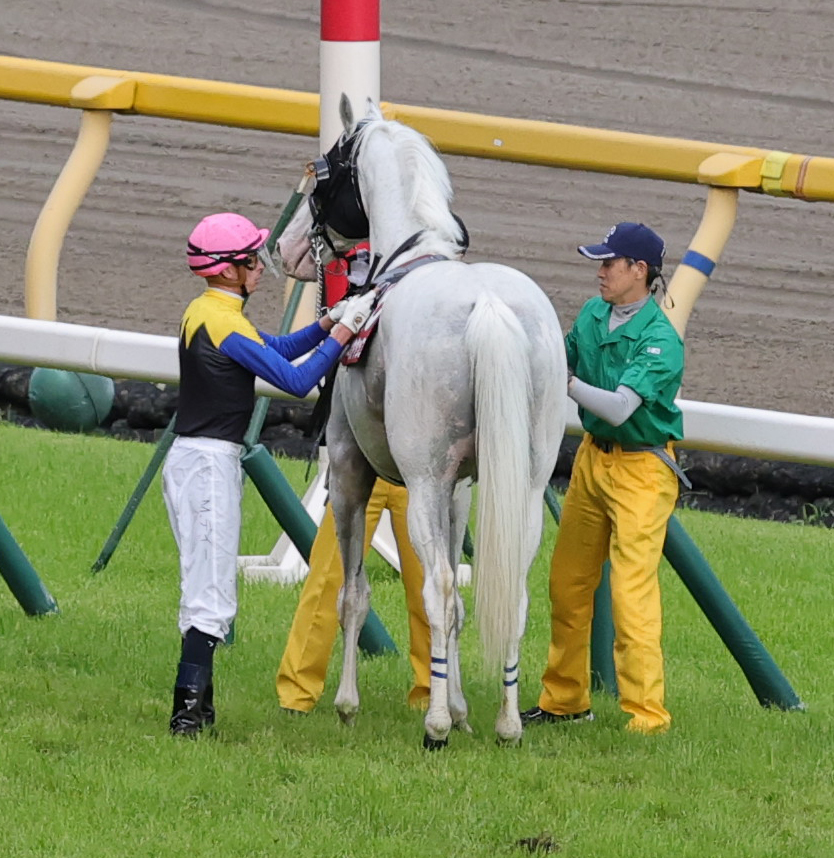 東京12R目黒記念で競走中止となったハヤヤッコとディー騎手（撮影・野上伸悟）