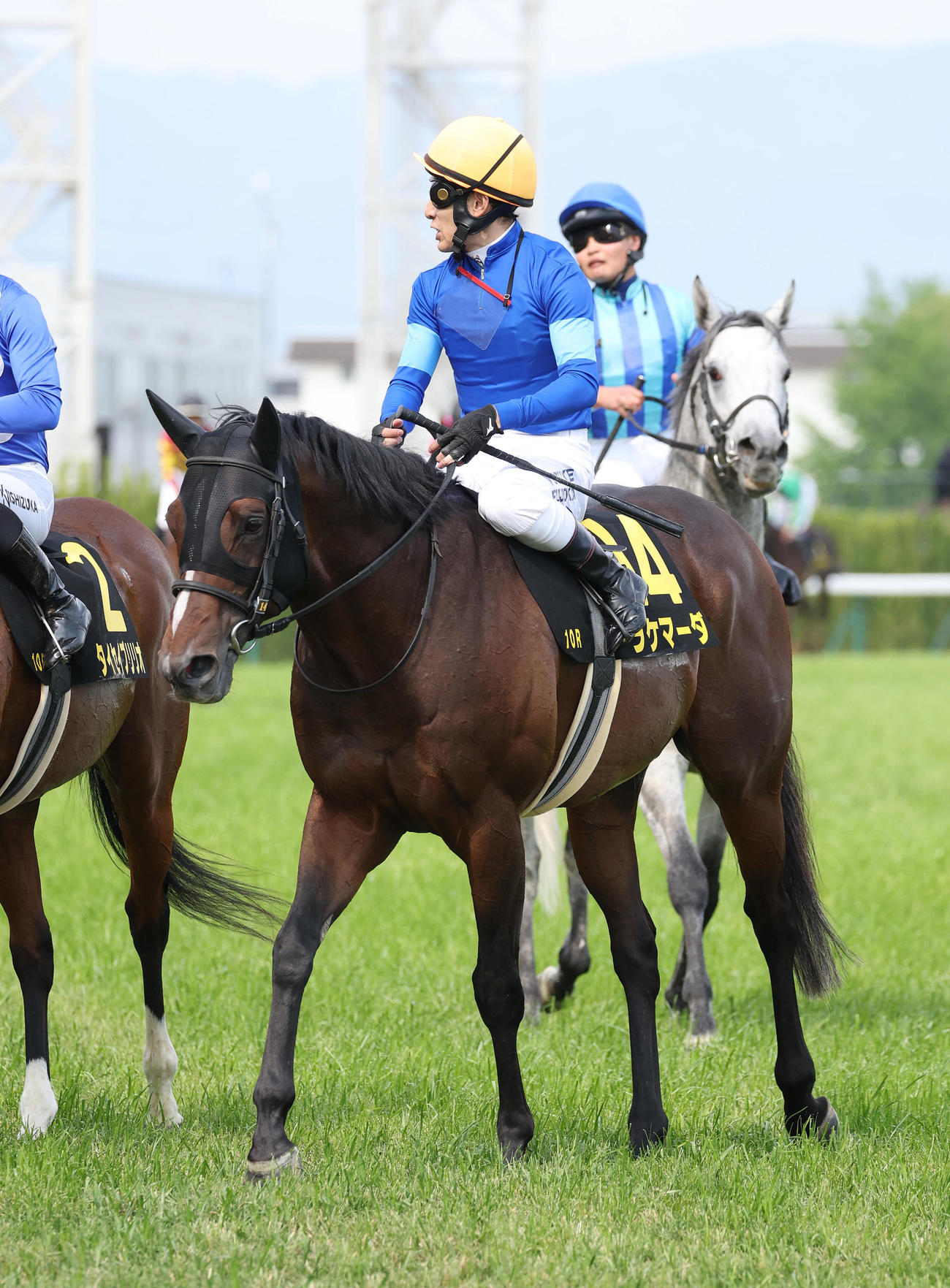 京都11R、安土城Sを制したラケマーダ（撮影・白石智彦）