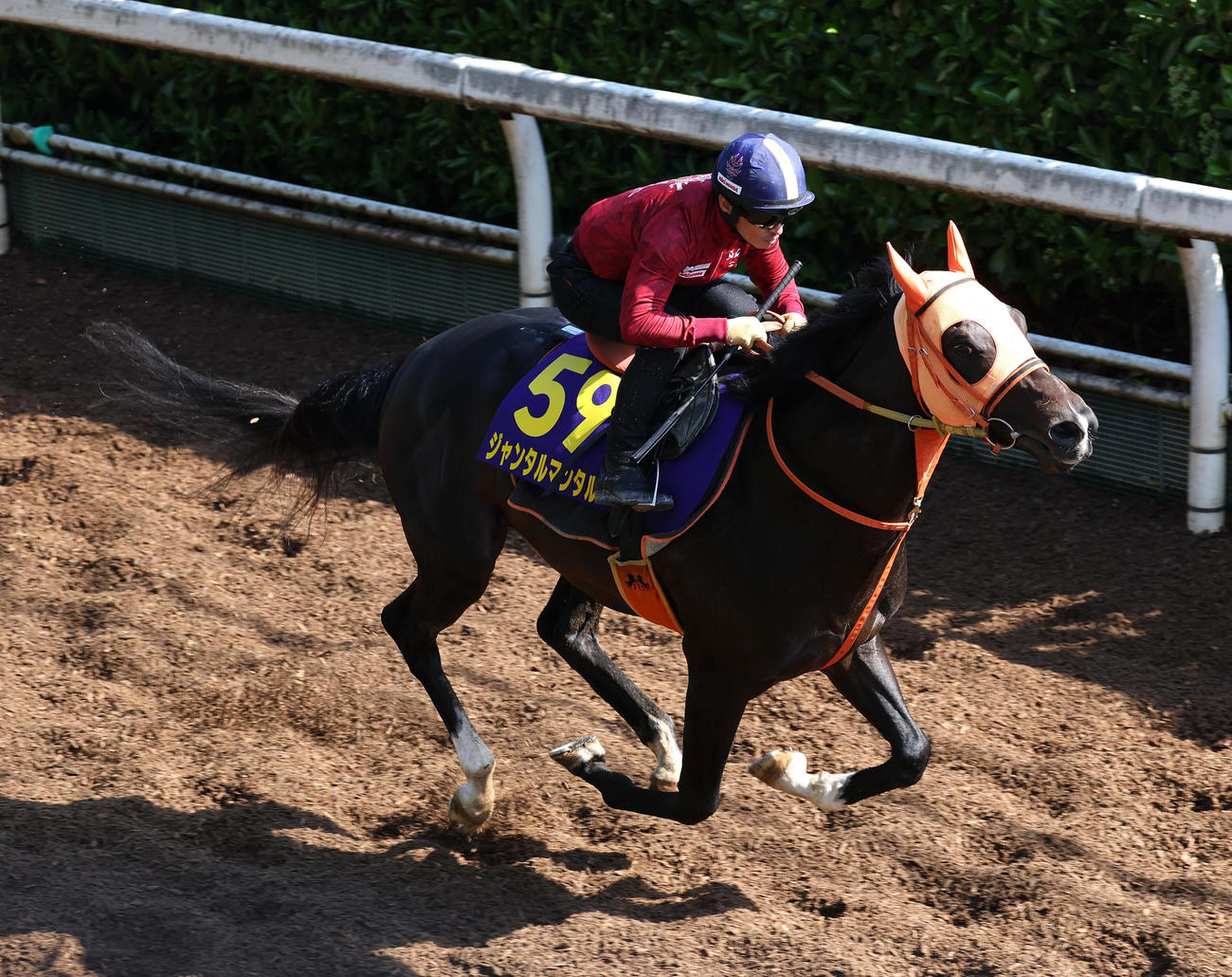 5月28日、川田騎手を背に坂路を単走で追い切るジャンタルマンタル