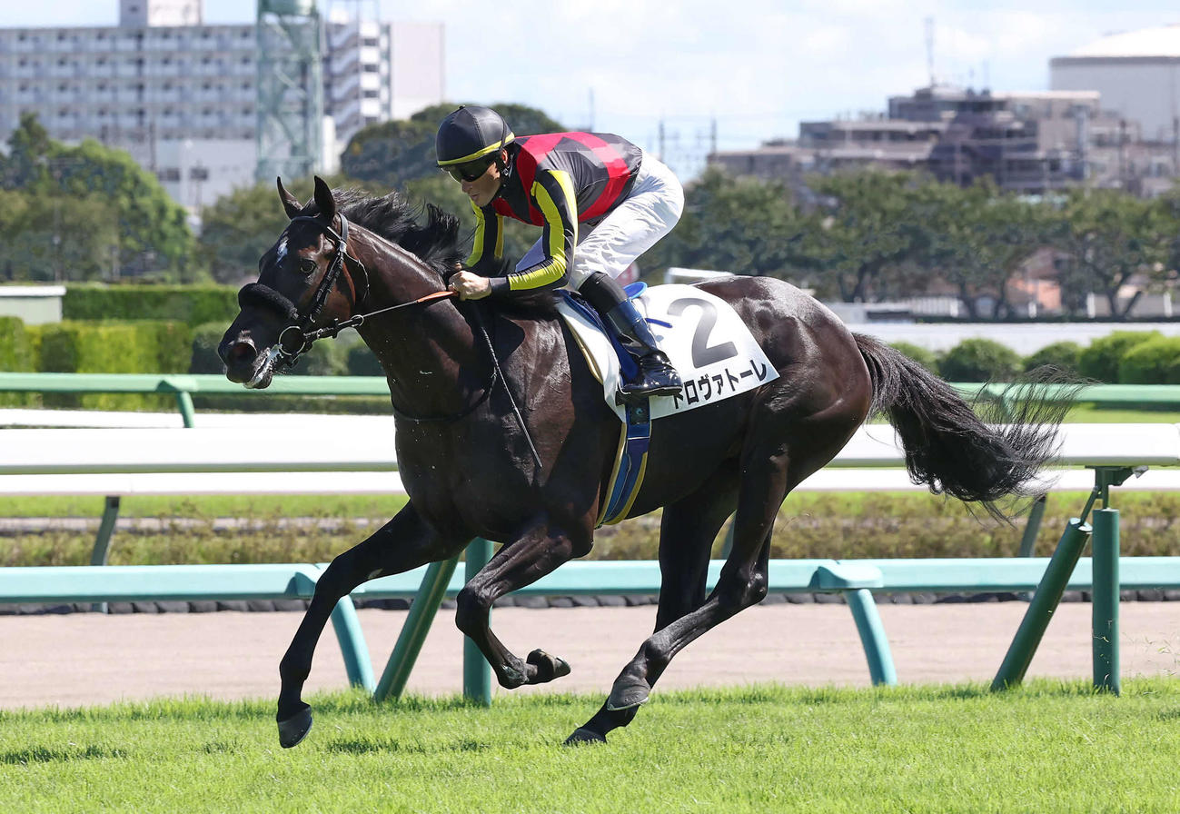 トロヴァトーレ（2023年9月18日撮影）