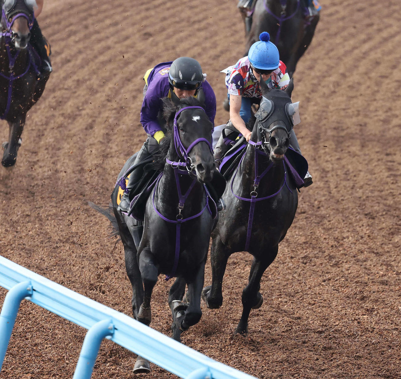 トロヴァトーレ（右）は横山武騎手を背に美浦ウッドでビックデムッシュと併せて追い切られた（撮影・丹羽敏通）