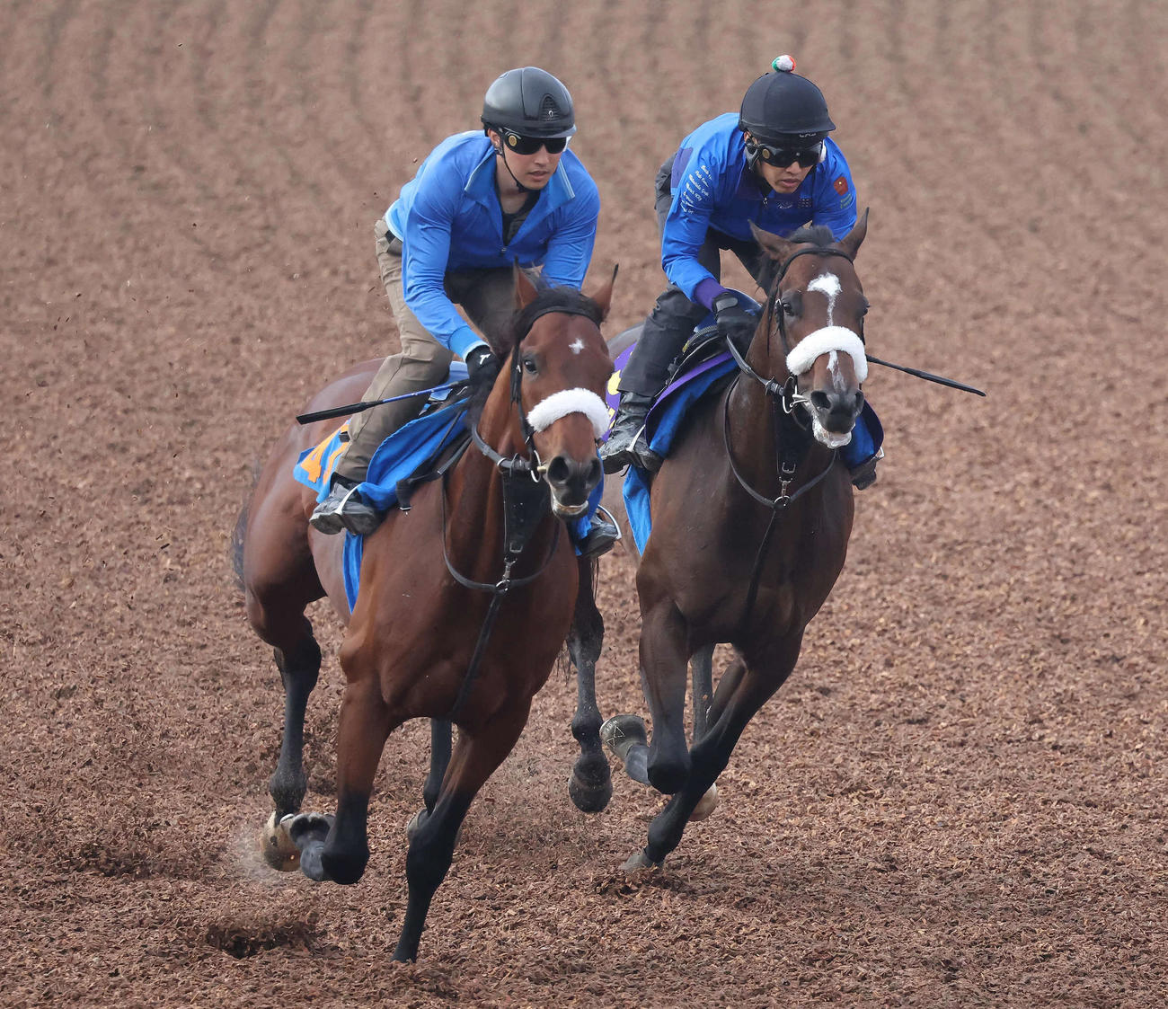 シックスペンス（右）は美浦ウッドでサトノエピックと併せて追い切られた（撮影・丹羽敏通）