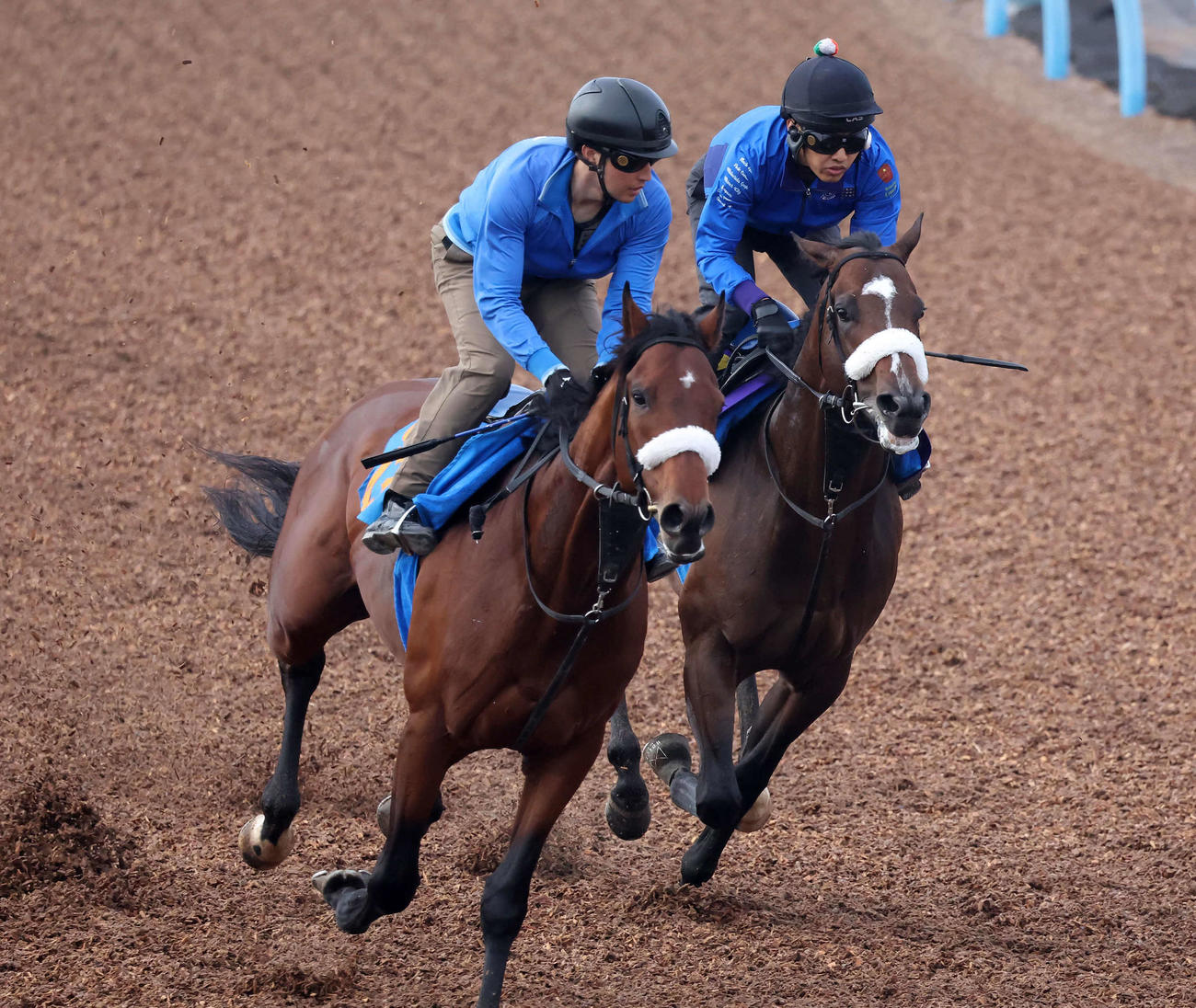 シックスペンス（右）は美浦ウッドでサトノエピックと併せて追い切られた（撮影・丹羽敏通）