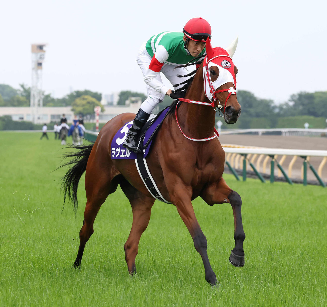 ラヴェル（2025年5月撮影）