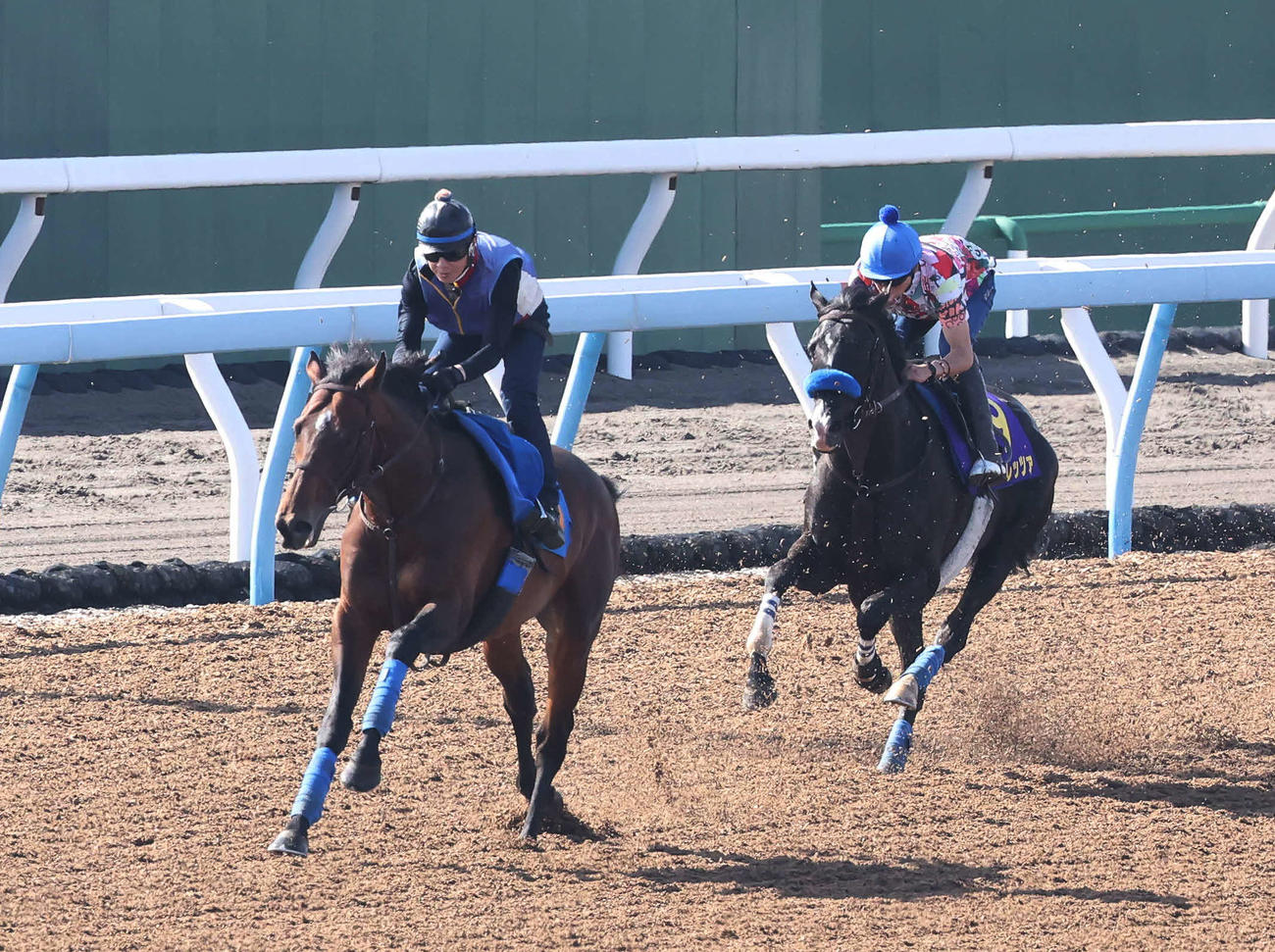 ドゥレッツァ（右）は横山武騎手を背に美浦ウッドで先行するリアレストを追い上げた（撮影・丹羽敏通）