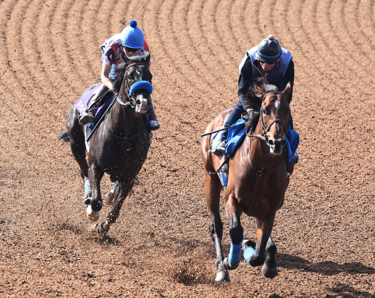 ドゥレッツァ（左）は横山武騎手を背に美浦ウッドで先行するリアレストを追い上げた（撮影・丹羽敏通）