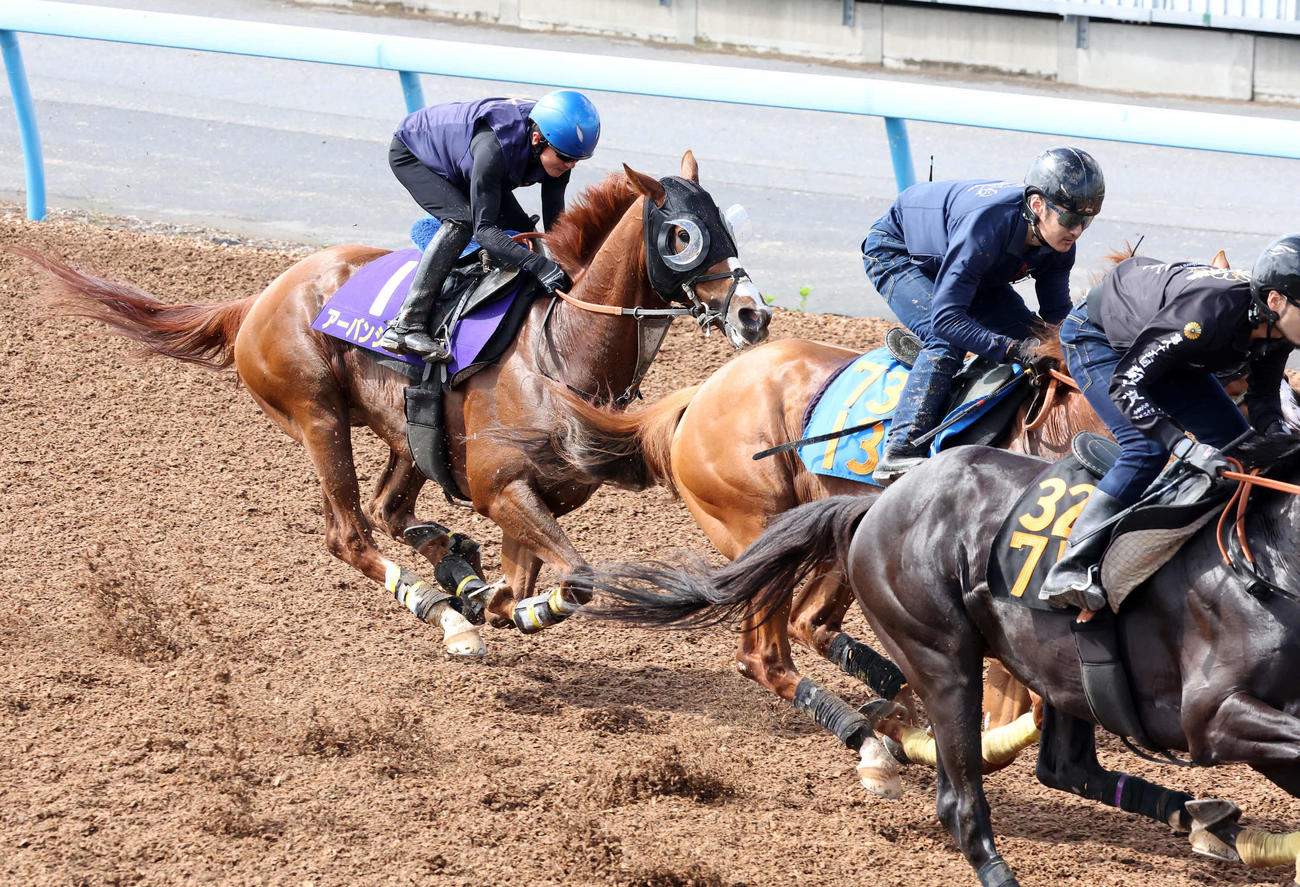 アーバンシック（左）は石神深騎手を背に美浦ウッドで先行する僚馬を追い上げた（撮影・丹羽敏通）