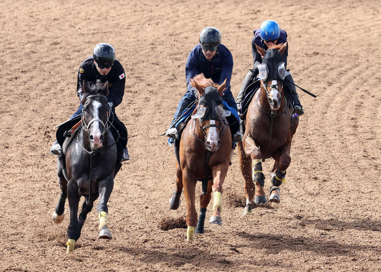 アーバンシック（右）は石神深騎手を背に美浦ウッドを3頭併せで追い切られた（撮影・丹羽敏通）
