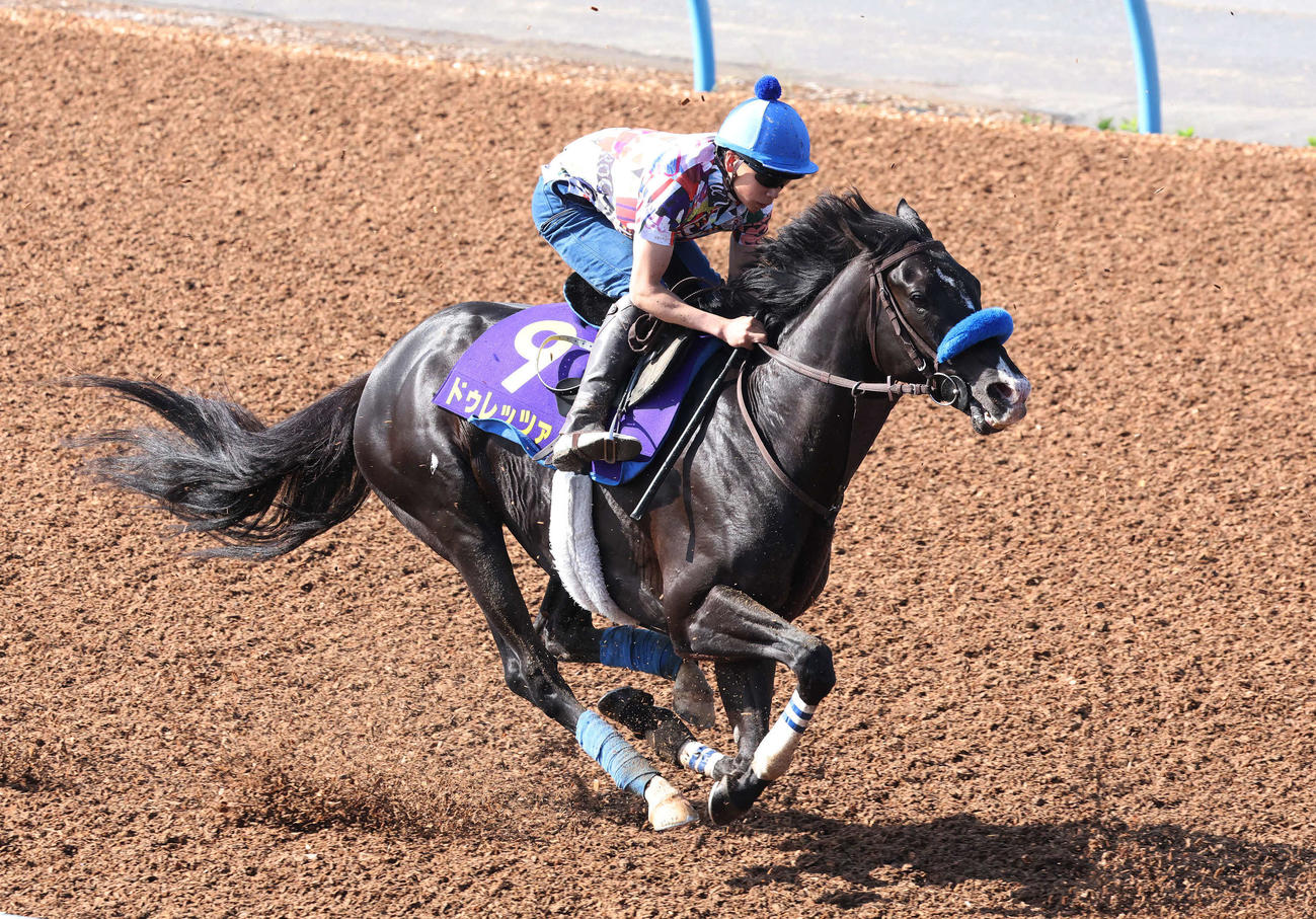 ドゥレッツァは横山武騎手を背に美浦ウッドで追い切られた（撮影・丹羽敏通）