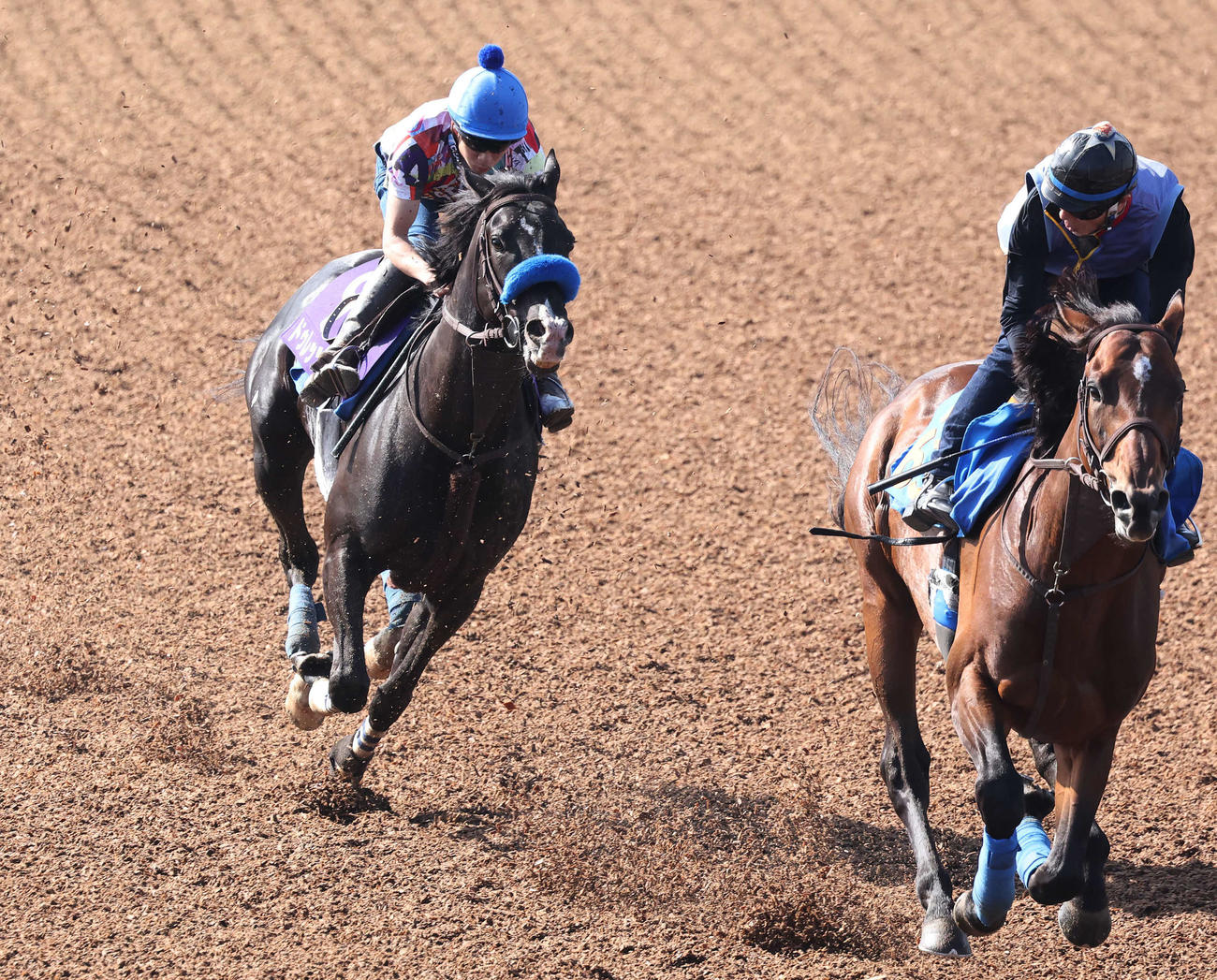 ドゥレッツァ（左）は横山武騎手を背に美浦ウッドで先行するリアレストを追い上げた（撮影・丹羽敏通）